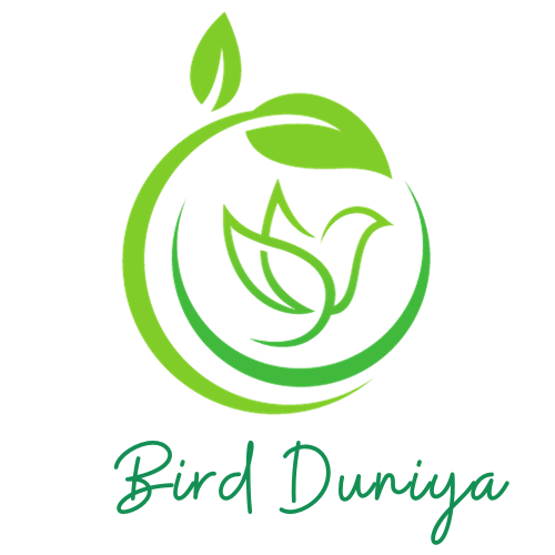 BirdDuniya